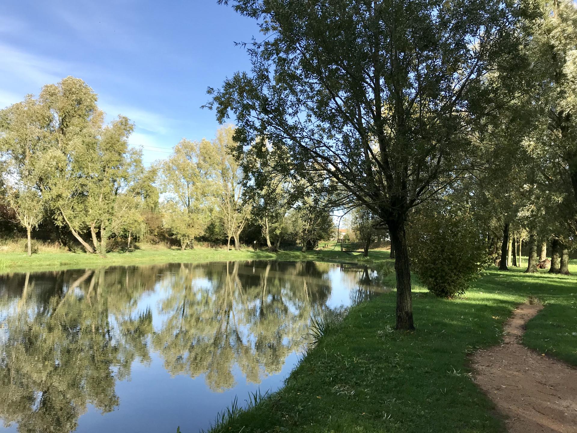 Etang de Virieux 