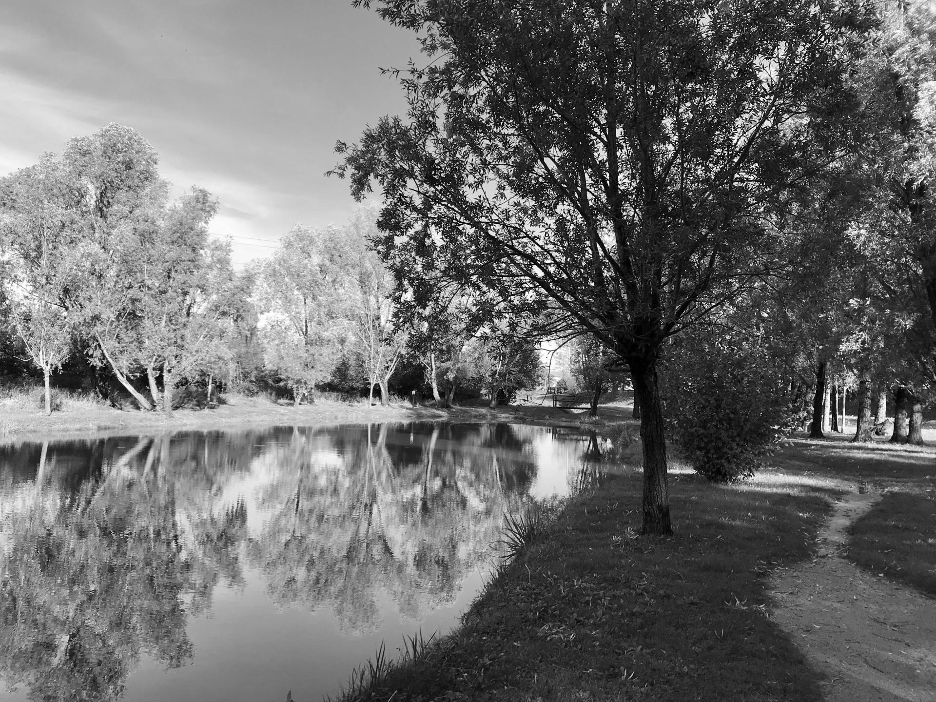 Etang de Virieux